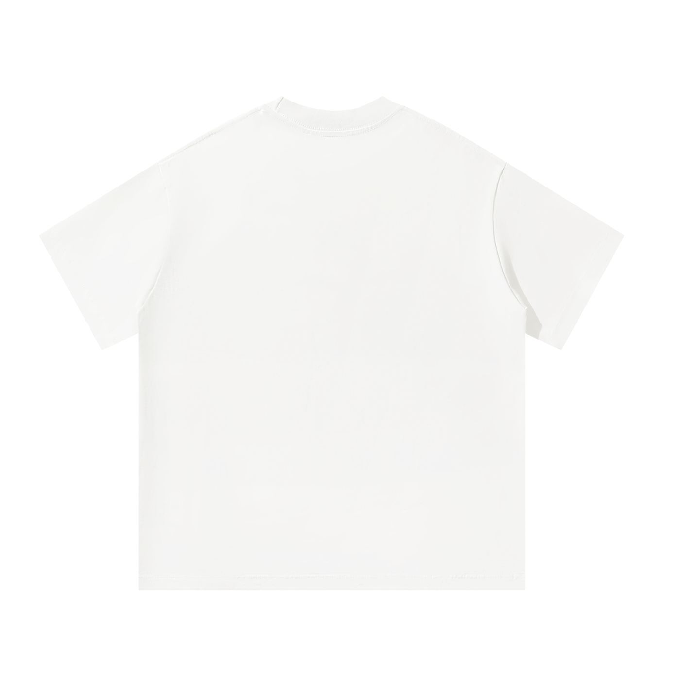 SlowBro RSX Oversized T
